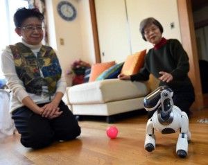 Hideko Mori (L) and her sister Yasuko watch their robot pet AIBO playing at Hideko's home in Tokyo ©Toshifumi Kitamura (AFP) {Courtesy: Daily Mail]