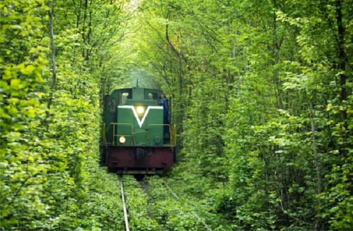 Fairy-Tale-Tunnel-of-Love-Found-in-Klevan-Ukraine-3