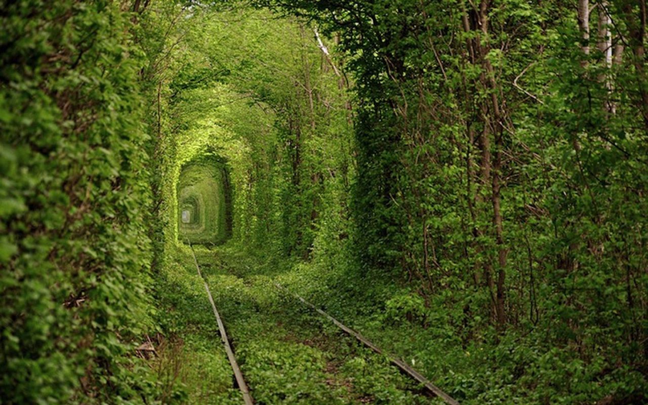 Fairy-Tale-Tunnel-of-Love-Found-in-Klevan-Ukraine-5