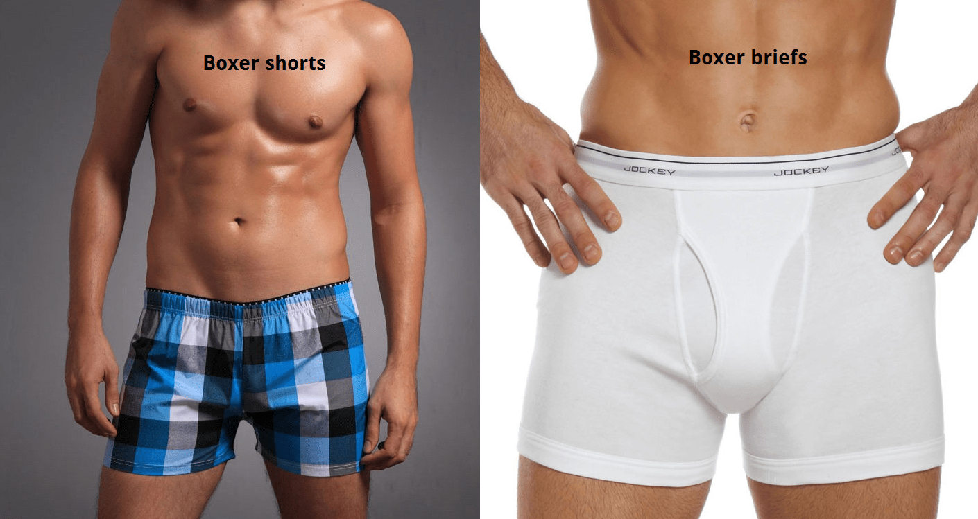 Types of Boxers