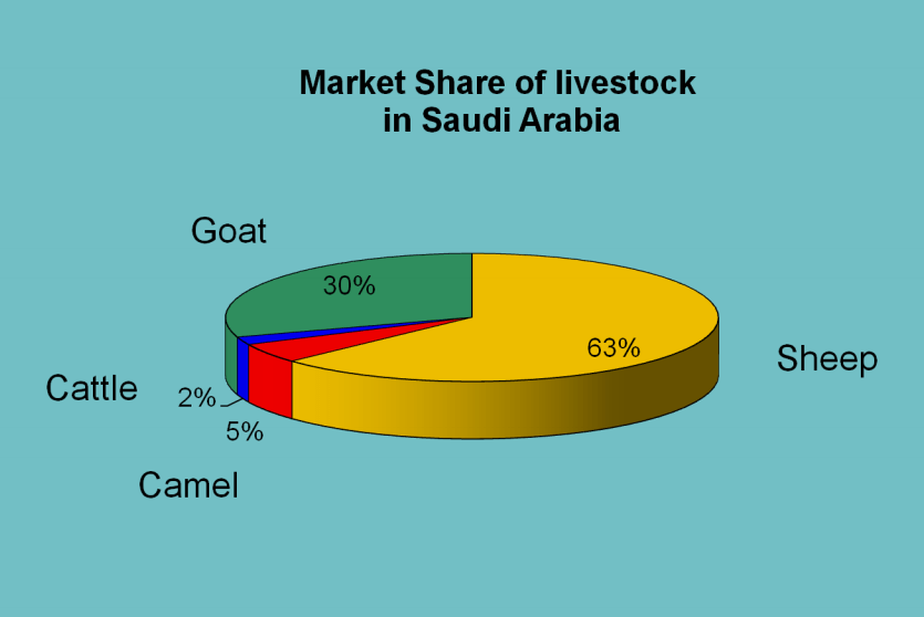 Slide from "Food Safety System in Saudi Arabia" 