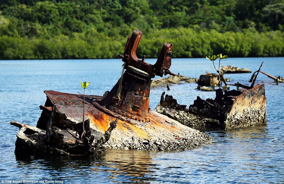 Mind-Blowing Pictures of World War II Relics in Ocean and Jungles
