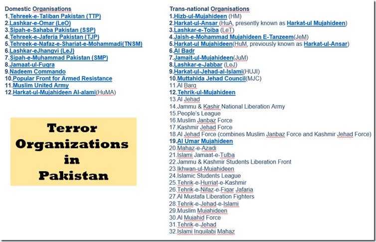 terror orgs in Pak