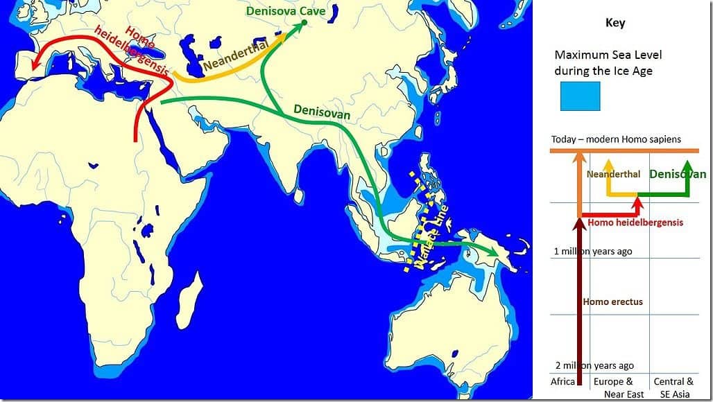 Spread_and_evolution_of_Denisovans