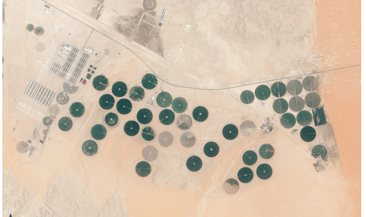 Todhia Arable Farm Saudi Arabia Water