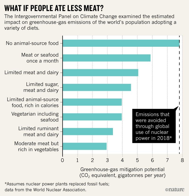 Eat less meat: UN climate-change report calls for change to human diet