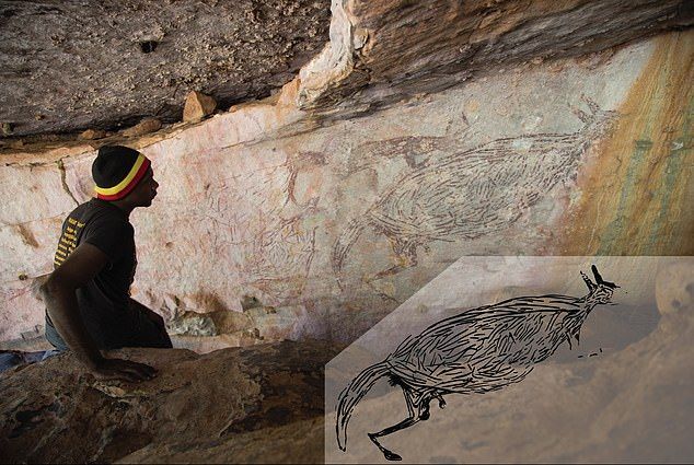 Traditional owner Ian Waina inspecting a Naturalistic painting of a kangaroo, determined to be more than 17,000 years old based on the age of overlying mud wasp nests