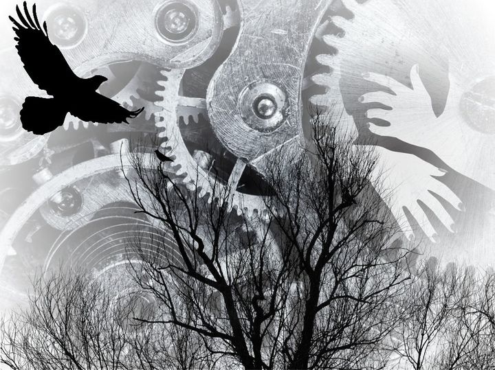 Insightful newsletter of Drishtikone: Issue #318 - An Unending Betrayal of the Afghan