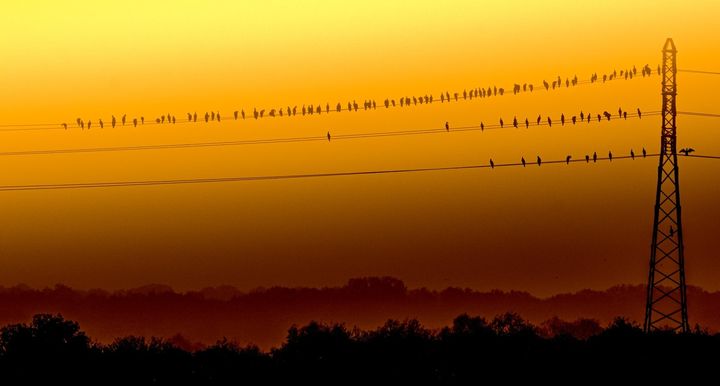 Insightful newsletter of Drishtikone: Issue #106 - Slumdog Millionaire and 'Mother Teresa'