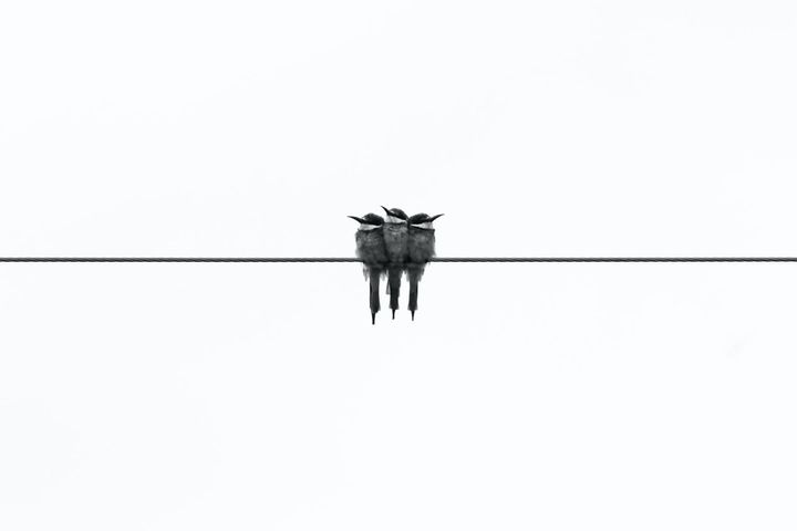 Insightful newsletter of Drishtikone: Issue #111 - Tell-tale Graves and Circle of Missiles