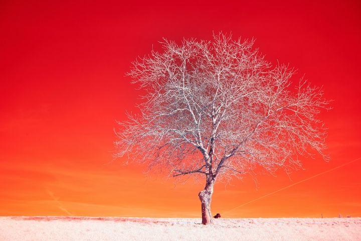 Insightful newsletter of Drishtikone: Issue #284 - The Violence of the Islamist Mobs