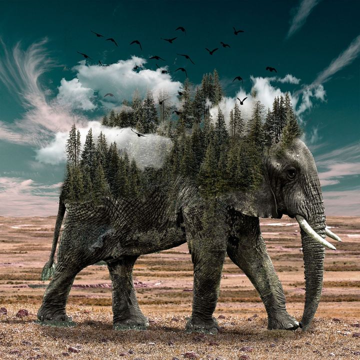 Insightful newsletter of Drishtikone: Issue #164 - The Saga of LEMOA, COMCASA, and BECA