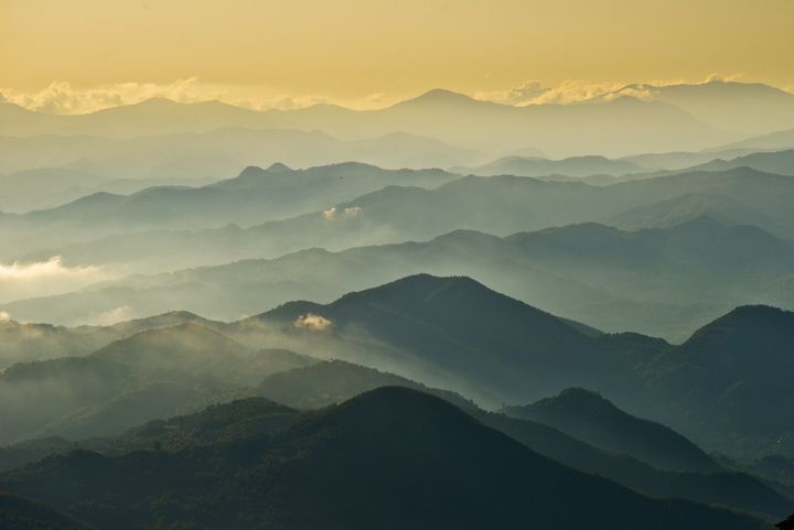 Insightful newsletter of Drishtikone: Issue #225 - Battle of Truthification