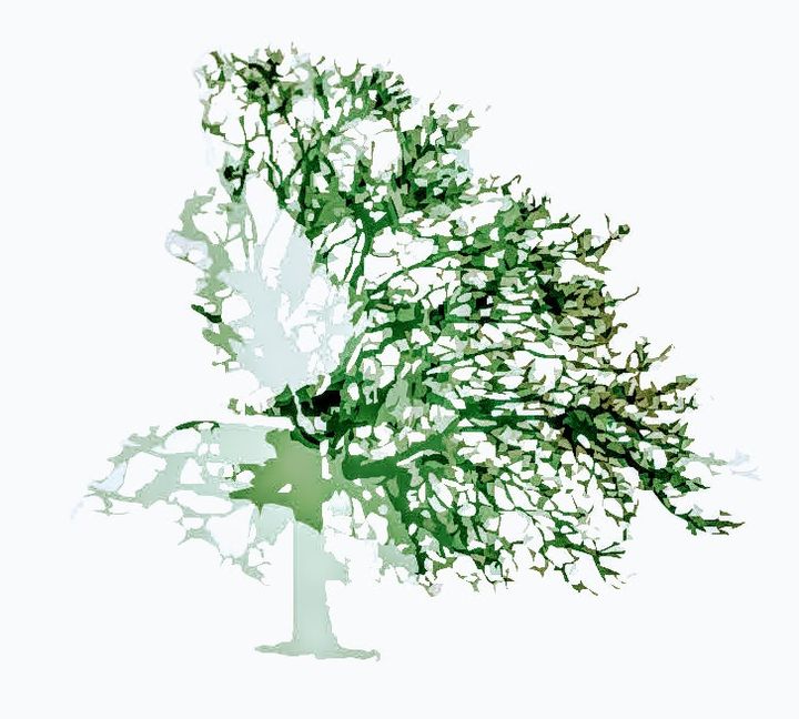 Insightful newsletter of Drishtikone: Issue #316 - Unpacking Caste System - 1