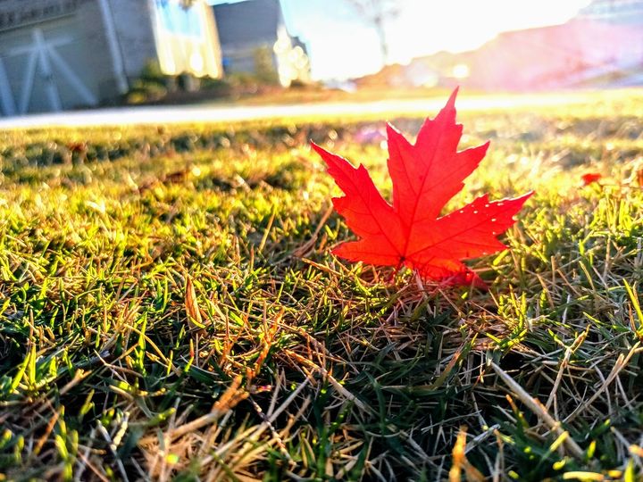 Insightful newsletter of Drishtikone: Issue #328 - 26/11 was an Act of War, not a Terror Attack