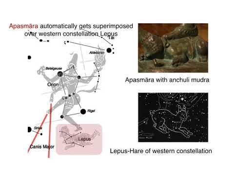 '1000 shades of Nataraja' by Rupa Bhaty
