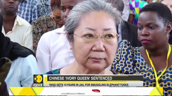 WION Speed News: Watch top national and international news of the morning – 20 February 2019