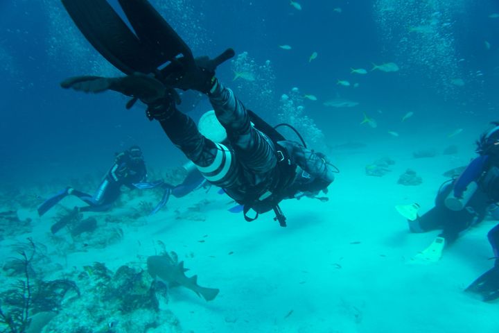 Pakistani trained commandos for underwater ops have entered Gulf of Kutch