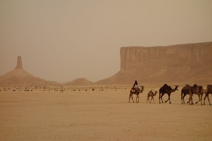 How Saudi Arabia manages its extreme Water Crisis – A Detailed Analysis