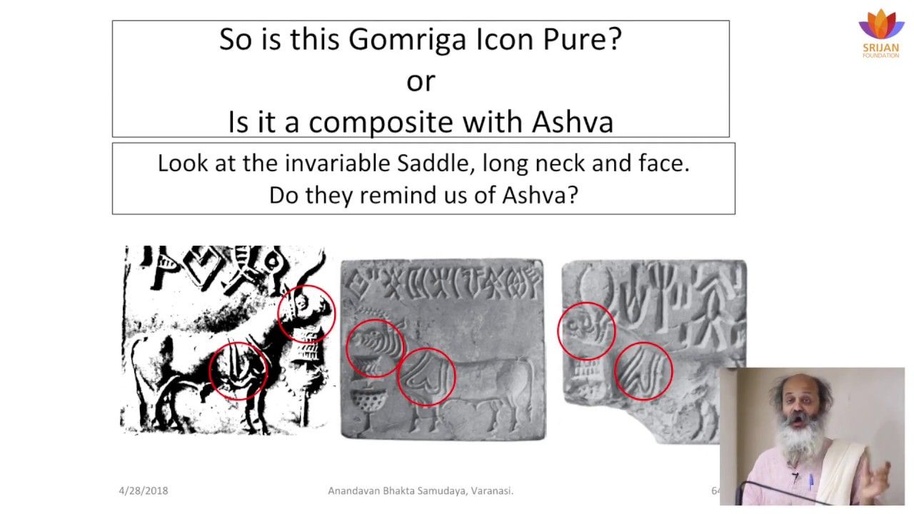                               Identification of Unicorn (Indus-Saraswati Civilization) – Part-3 : Talk by Sh. Mrugendra Vinod                             
                              
